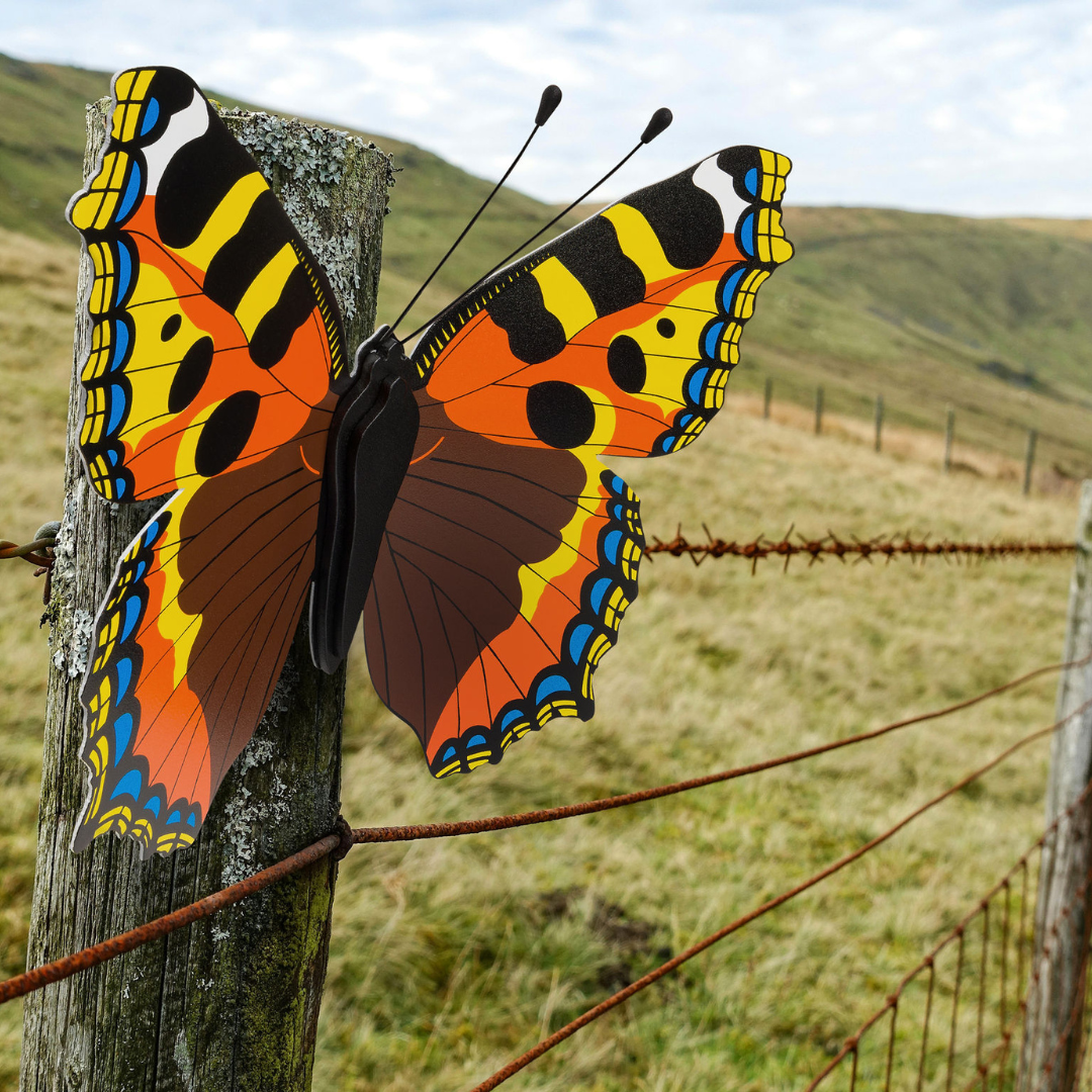 Small Tortoiseshell