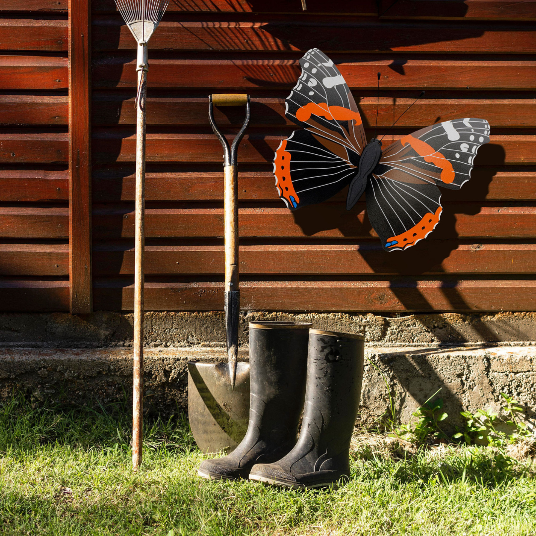 Red Admiral