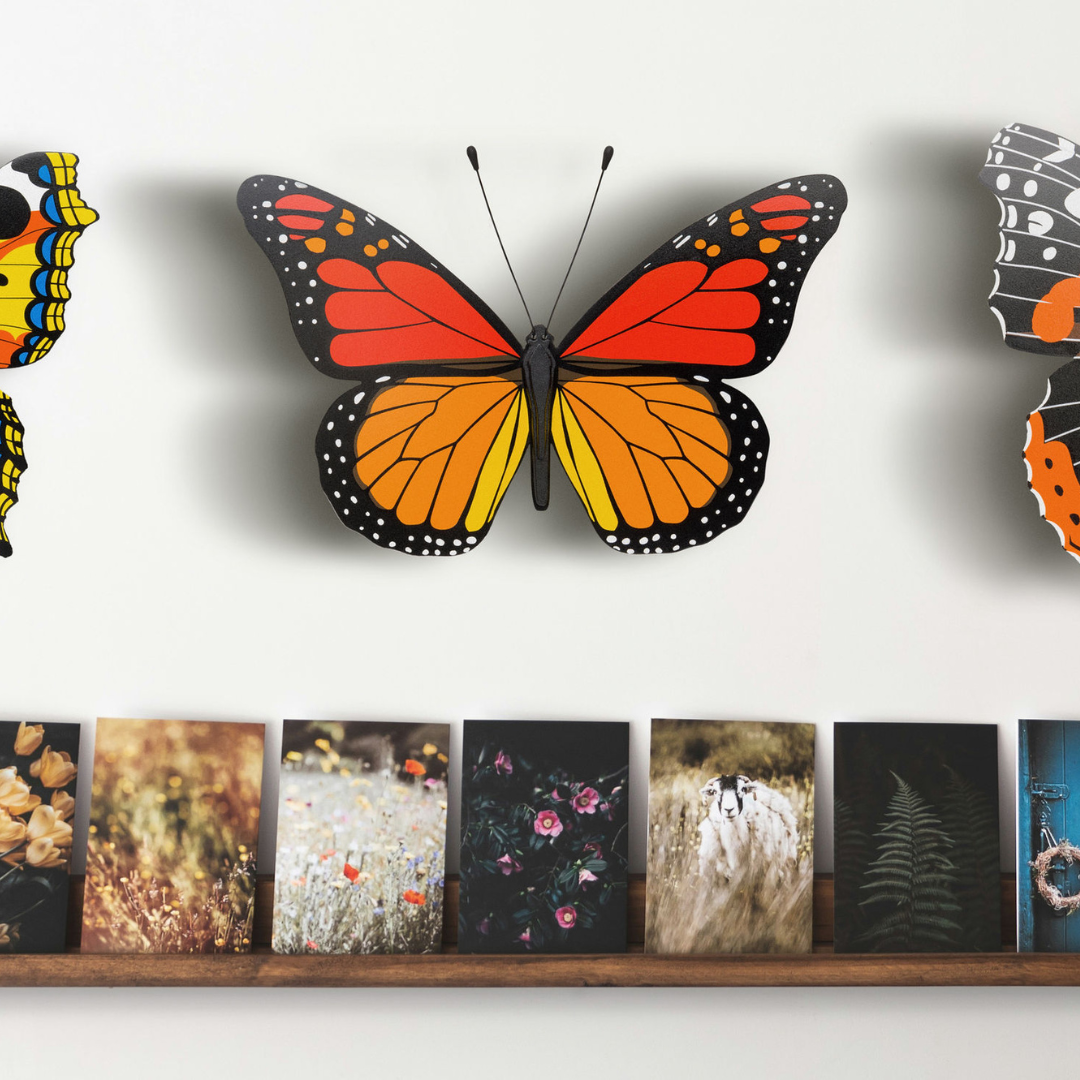 Monarch