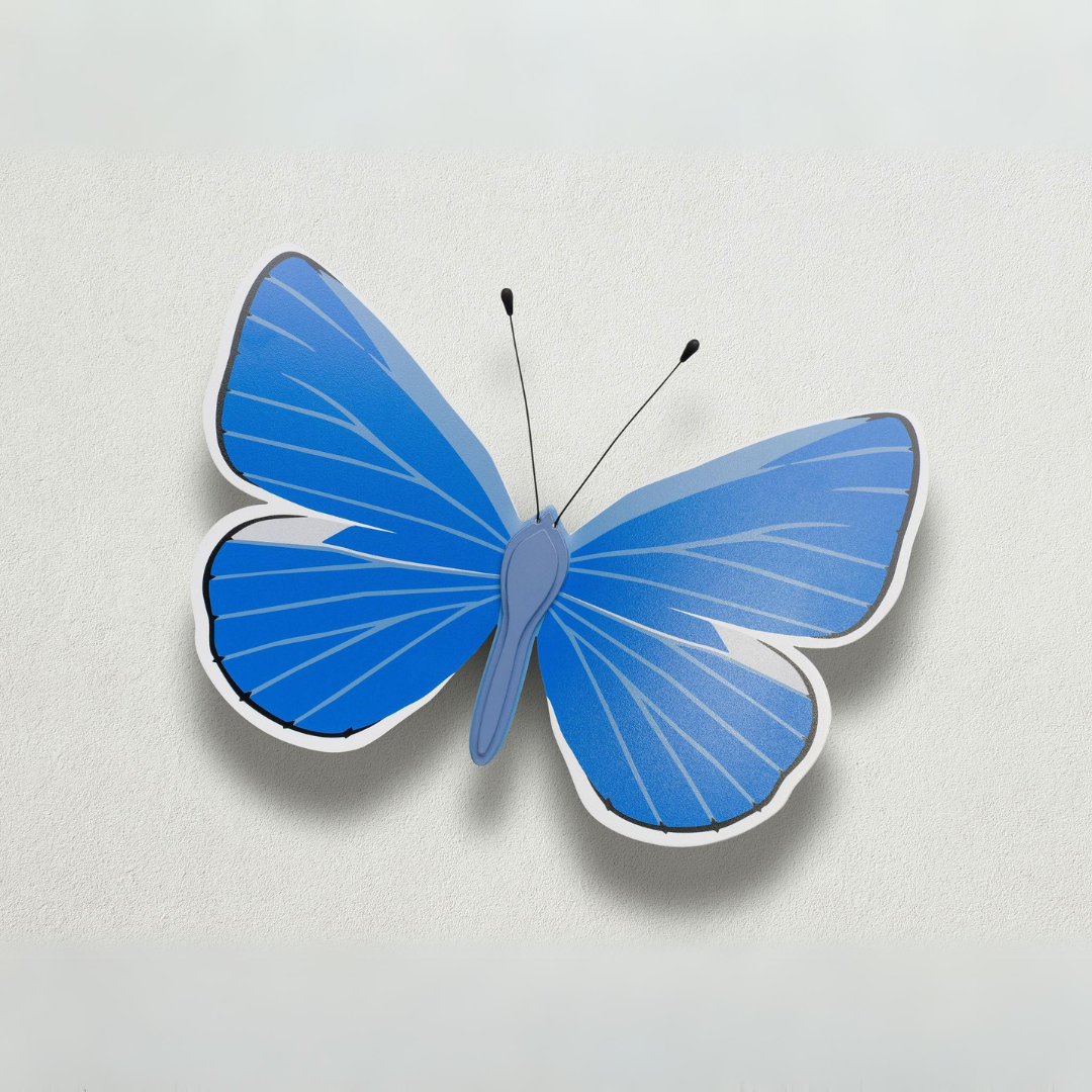 Common Blue