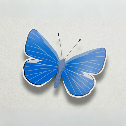 Common Blue