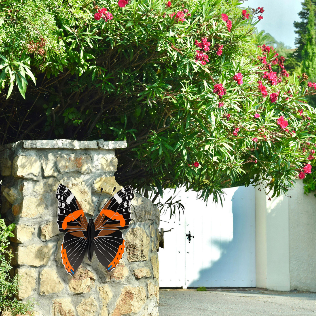 Red Admiral