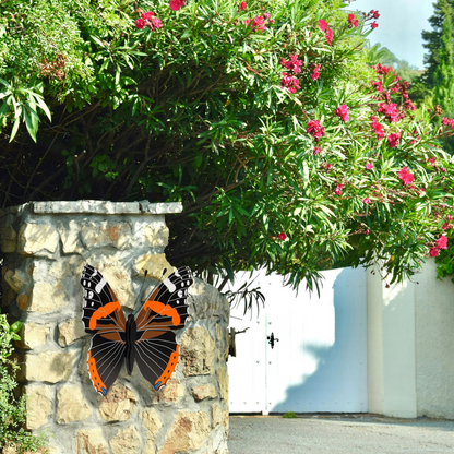 Red Admiral