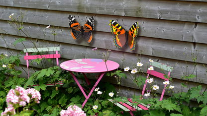 Red Admiral